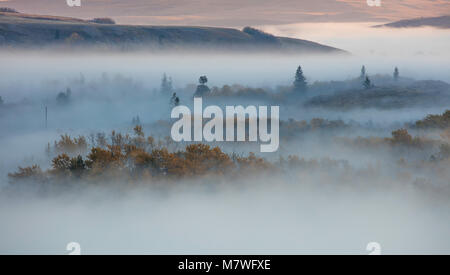 Nebbia all alba, Medio Waterton Lake, il Parco Nazionale dei laghi di Waterton, Alberta, Canada Foto Stock