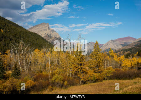 Montare Anderson (Anderson di picco) come si vede dalla Red Rock Parkway in autunno, il Parco Nazionale dei laghi di Waterton, Alberta, Canada Foto Stock