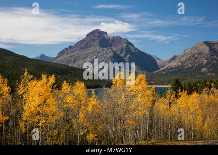 Golden aspen lungo la parte inferiore di due Medicine Lake, il Parco Nazionale di Glacier, Montana Foto Stock