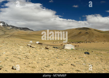 Il rifugio Changpa sono semi-nomade del popolo tibetano si trovano principalmente nei Changtang in Ladakh e in Jammu e Kashmir. India Foto Stock