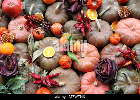 Composizione di verdure con zucche, carciofi, peperoni e arance Foto Stock