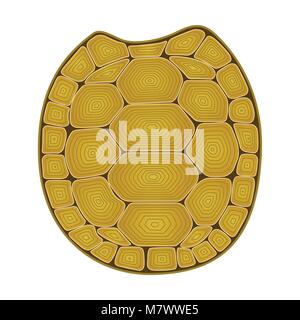 Carapace di tartaruga groviglio Zen. Libro da colorare per adulti con guscio di tartaruga. Disegno del contorno. La vita marina illustrazione vettoriale. Illustrazione Vettoriale