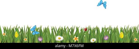 Verde erba realistica confine con fiori colorati e farfalle isolati su sfondo bianco. Primavera o estate illustrazione vettoriale, modello, clip Illustrazione Vettoriale