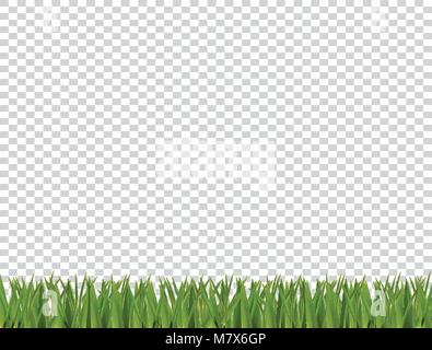 Verde erba realistica bordo orizzontale isolato su sfondo trasparente. Primavera o estate illustrazione vettoriale, template, clip art, design elemento f Illustrazione Vettoriale