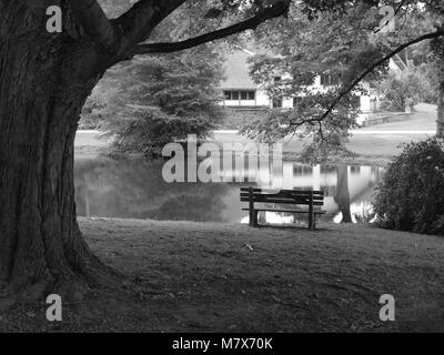 Ringwood stato parco, Ringwood, NJ in bianco e nero. Foto Stock