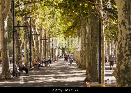 Persone in rilassanti sfumature, piano alberato Cours de la Republique Avenue, Narbonne, Occitanie, Francia Foto Stock