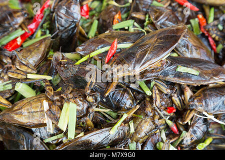 Mercato di insetto, Skuon, Cambogia - insetti fritti (cicale ) per i prodotti alimentari in vendita in una fase di stallo, Skuon, Cambogia Asia Foto Stock