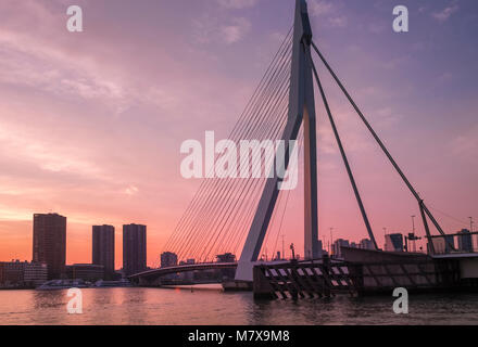 Erasmusbrug (Ponte Erasmus) al tramonto, Rotterdam, Paesi Bassi. Foto Stock