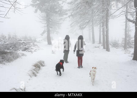 37/5000 passeggiata invernale con i cani in Góry Sowie (Owl montagne), Sudety, Polonia. Foto Stock