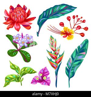 Set di Thailandia fiori. Tropicali piante multicolore, foglie e germogli Illustrazione Vettoriale