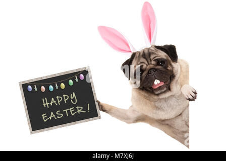 Coniglietto di pasqua pug cucciolo di cane con orecchie, uova e lavagna con testo felice Pasqua, lateralmente dal banner bianco Foto Stock