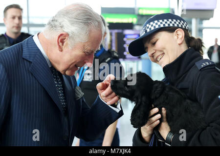 Il Principe di Galles incontra un Cocker Spaniel chiamato Ned, un tirocinante esplosivi cerca cane, durante una visita all' Aeroporto di Heathrow di Londra, come egli mette in evidenza il lavoro svolto da sicurezza e personale dell aeroporto di mantenere il paese e per l'aeroporto di sicuro. Foto Stock