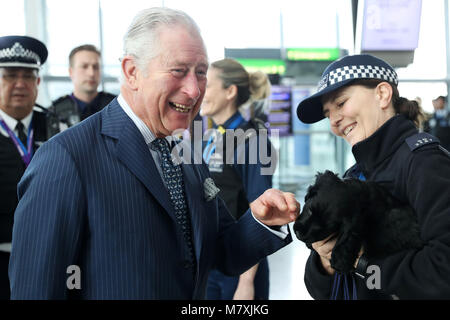 Il Principe di Galles incontra un Cocker Spaniel chiamato Ned, un tirocinante esplosivi cerca cane, durante una visita all' Aeroporto di Heathrow di Londra, come egli mette in evidenza il lavoro svolto da sicurezza e personale dell aeroporto di mantenere il paese e per l'aeroporto di sicuro. Foto Stock