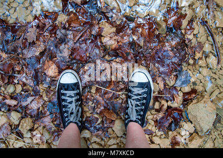 Sneakers su foglie Foto Stock