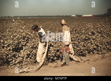 Bambini Giorno operai la raccolta del cotone, vicino a Clarksdale, Mississippi, Marion Post Wolcott per la Farm Security Administration, Novembre 1939 Foto Stock