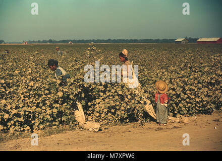 Bambini Giorno operai la raccolta del cotone, vicino a Clarksdale, Mississippi, Marion Post Wolcott per la Farm Security Administration, Novembre 1939 Foto Stock