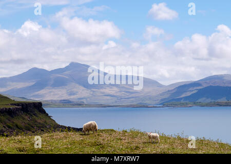 Vista su tutta sul Loch Tuath a Ben più montagna sulla costa ovest. Kilninian Isle of Mull Argyll and Bute Ebridi Interne Western Isles della Scozia UK Foto Stock