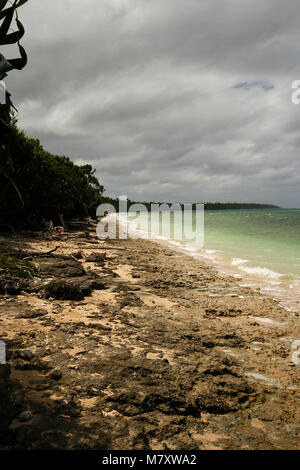 Mangrovie. Lifuka Island. ha'isole apai. Tonga. La Polinesia Foto Stock