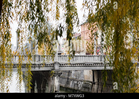 Il comando cobbler ponte in Lubiana Foto Stock