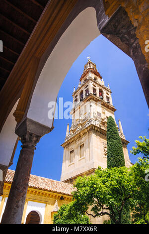 Cordoba, Andalusia, Spagna : moschea-cattedrale di Cordoba, torre campanaria incorniciata da un arco del dalla Corte di arance. Foto Stock