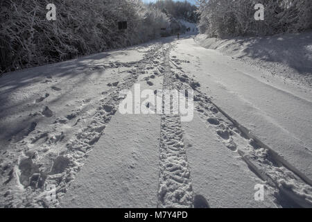 Stampa ruota nella neve/strada/strada/neve/inverno/bianco Foto Stock