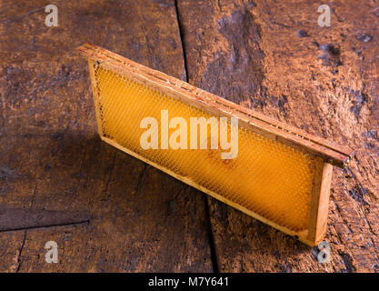 Telaio a nido d'ape sul vecchio pannello di legno Foto Stock