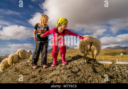 Bambini con Icelandic Sheep, Autunno Round-up, Islanda Foto Stock