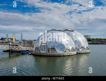 Padiglione flottante, Kop van Zuid, Rotterdam South Holland, Paesi Bassi Foto Stock