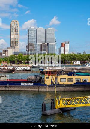 Kop van Zuid Skyline visto da Maashaven, Rotterdam South Holland, Paesi Bassi Foto Stock