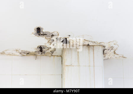 Soffitto bianco all' interno dell' edificio danneggiate che mostra di umidità e sporco da stampo perde acqua e Foto Stock