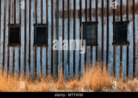 Barre in acciaio riguardano Windows su un vecchio edificio abbandonato. Foto Stock