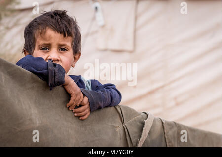 Giovane ragazzo beduina che vive con la sua famiglia al confine della Giordania e Arabia Saudita. Foto Stock