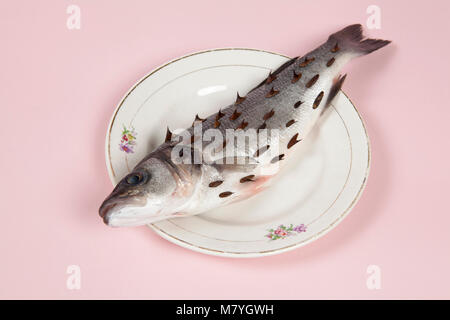 Un bass pesce con rosebush, pruni in un piatto floreale nascosto su un vivace sfondo rosa. Gioco e diversione. Colore minima ancora vita fotografia. Foto Stock