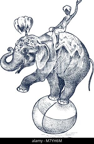 Circus elephant. African animale selvatico sulla sfera. Mostra presso lo zoo. Schizzo inciso disegnati a mano in stile vintage. Illustrazione Vettoriale