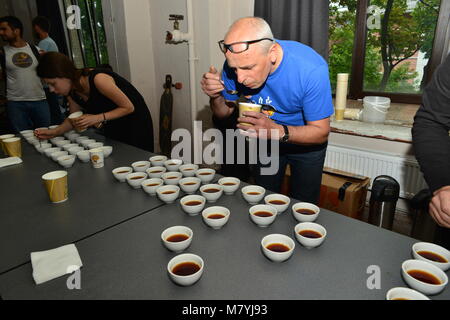 Una persona, che partecipano al concorso cuptasting - blind discernere di caffè Foto Stock