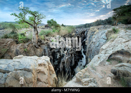 Baobab sul bordo di Epupa Falls Foto Stock