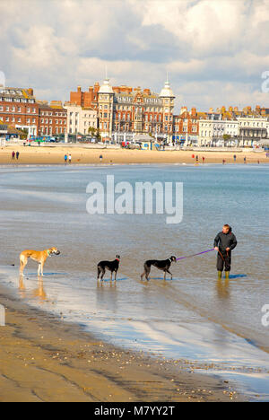 Weymouth, Dorset. 13 Marzo 2018 - Le persone godono di primavera-come meteo sulla spiaggia di Weymouth e Harbourside di credito: stuart fretwell/Alamy Live News Foto Stock