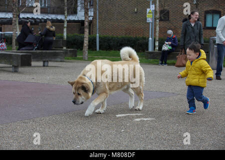 Kingston upon Thames, Regno Unito. Xiv Mar, 2018. Un giovane ragazzo fa amicizia con un giapponese Akita come persone godono del clima mite di Kingston Upon Thames prima la Bestia da est è impostato per tornare in questo fine settimana Credito: Keith Larby/Alamy Live News Foto Stock