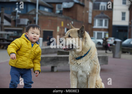 Kingston upon Thames, Regno Unito. Xiv Mar, 2018. Un giovane ragazzo fa amicizia con un giapponese Akita come persone godono del clima mite di Kingston Upon Thames prima la Bestia da est è impostato per tornare in questo fine settimana Credito: Keith Larby/Alamy Live News Foto Stock