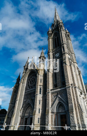 Cobh, Irlanda - 9 Novembre 2017: basso angolo di visione di San Colman Cattedrale Cobn in una giornata di sole. Foto Stock