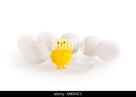 Un grazioso piccolo giallo pasqua tratteggiata di pollo al di fuori di un uovo bianco con altri le uova bianche in background. Isolato su bianco. Foto Stock