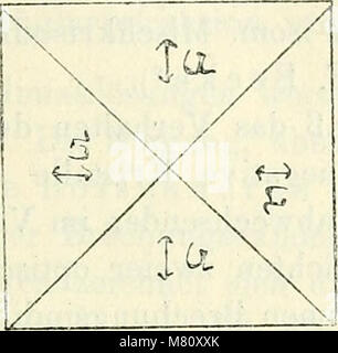 Bulletin international de l'Acadmie des sciences de Cracovie, Classe des sciences mathmatiques et naturelles (1901-1910) (20254403149) Foto Stock