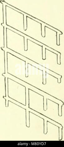 Bulletin international de l'Acadmie des sciences de Cracovie, Classe des sciences mathmatiques et naturelles (1901-1910) (20254412219) Foto Stock