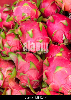 Dragon frutti al mercato in stallo in Chiang Mai, Thailandia. Foto Stock