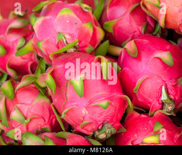 Dragon frutti al mercato in stallo in Chiang Mai, Thailandia. Foto Stock