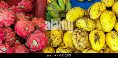 Manghi e dragon frutti al mercato in stallo in Chiang Mai, Thailandia. Foto Stock