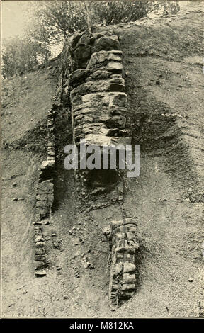 Il Bulletin of the Geological Society of America pubblica ricerche scientifiche sulla geologia, compresi studi sui processi terrestri, sui materiali e sulla storia del pianeta. È una risorsa leader per i geologi e gli scienziati della terra. Foto Stock