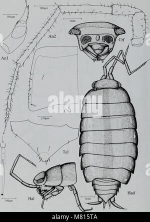 Il *Bollettino del Museo di storia naturale (Zoologia)* (2001) include studi sulle specie animali, le interazioni ecologiche e la biodiversità, fornendo approfondimenti sulla ricerca zoologica e la storia naturale. Foto Stock