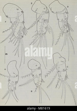L'edizione 1996 del "Bulletin of the Natural History Museum Zoology" presenta studi sulla tassonomia animale, il comportamento e l'ecologia, contribuendo ai progressi nelle scienze zoologiche. Foto Stock