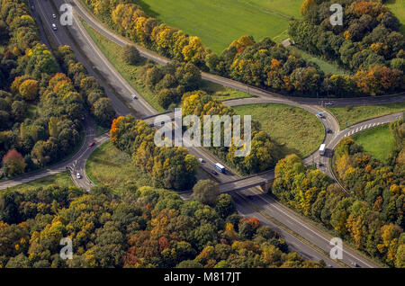 Vista aerea, autunno intorno al B224 con il treno veloce, autunno, foglie di autunno, Golden ottobre, estate indiana, Gelsenkirchen, zona della Ruhr, Renania del Nord Foto Stock